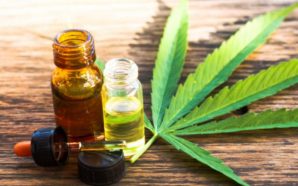 Hemp Oil vs CBD Oil