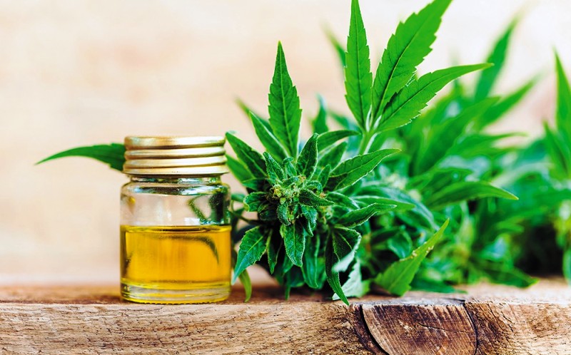 CBD Oil Products