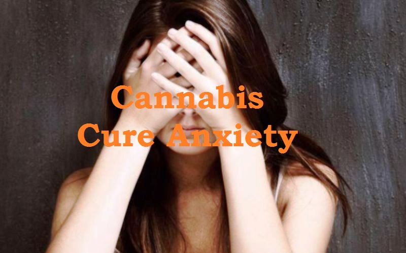 Cannabis Cure Anxiety