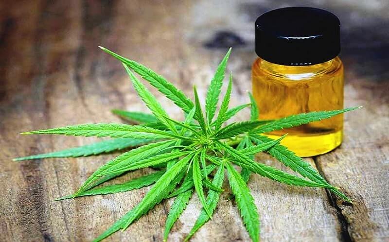 CBD Oil