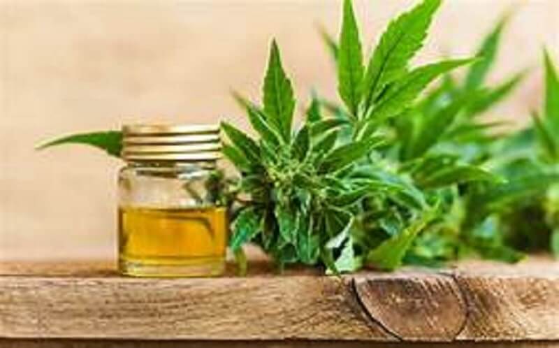 Hemp Oil