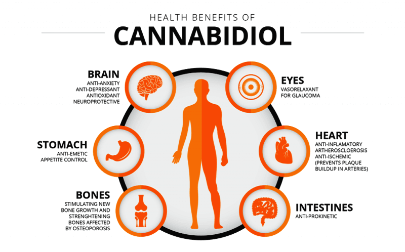 CBD effects