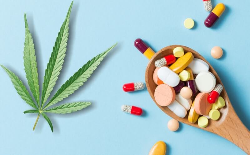 CBD Drug Interactions