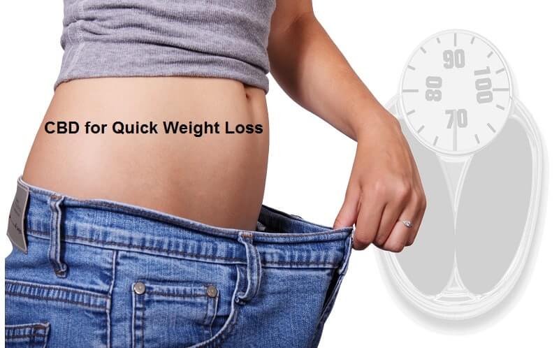 CBD for Quick Weight Loss