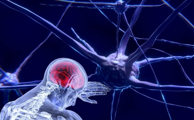 CBD for brain healing