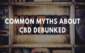 Common Myths About CBD Debunked