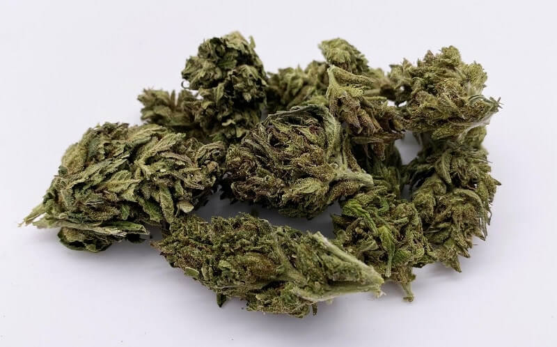 CBD Buds