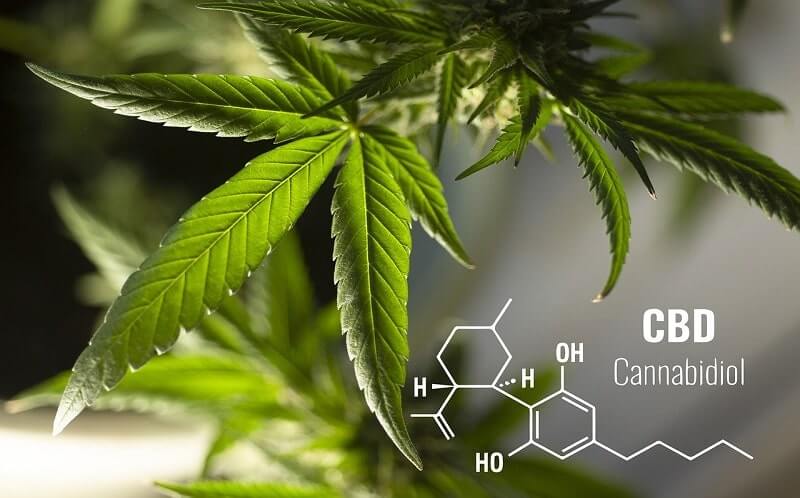 CBD for Pain and Anxiety