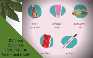Different Options to Consume CBD for Natural Health