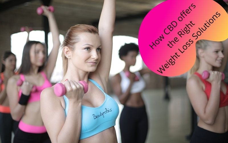How CBD offers the Right Weight Loss Solutions