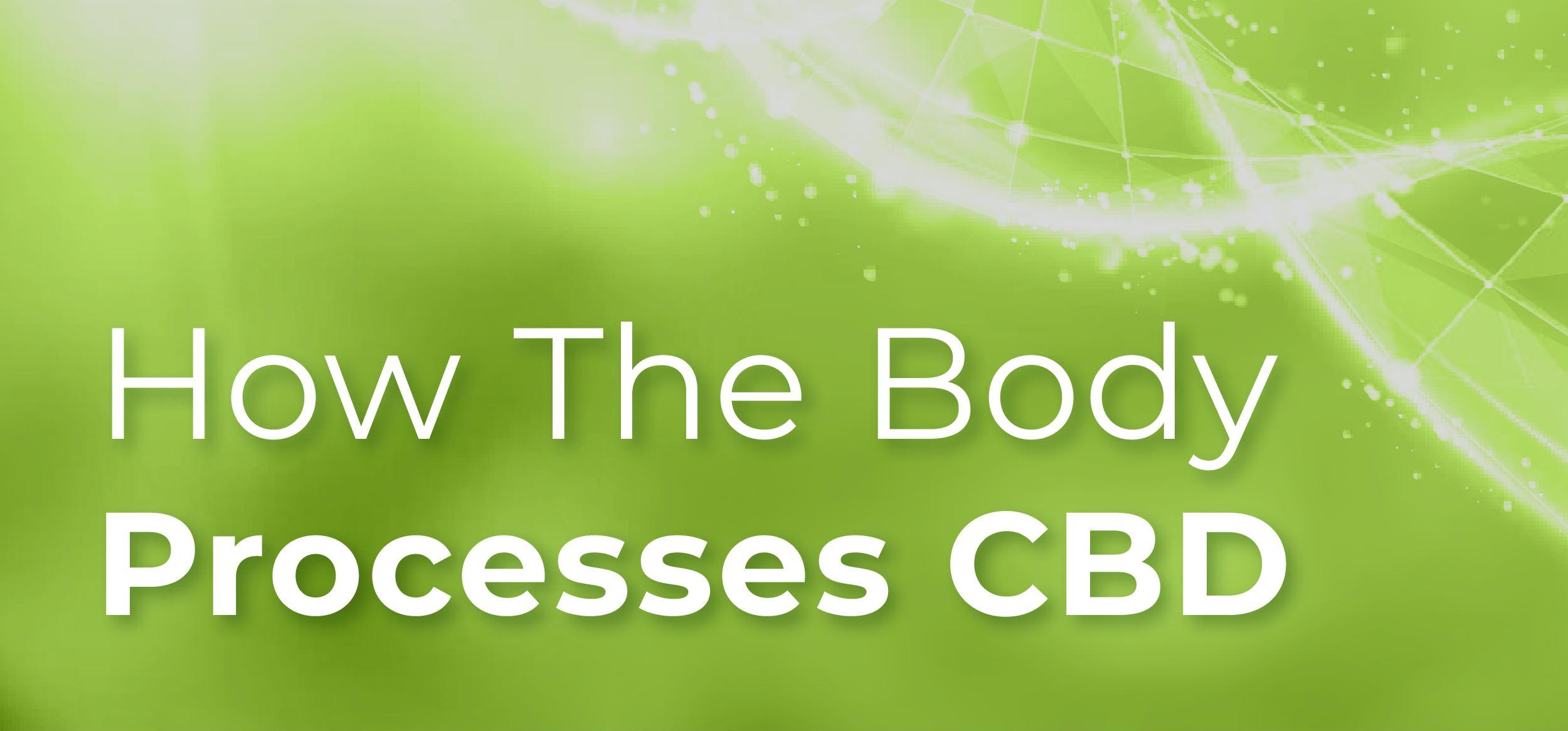 How the Body Processes CBD
