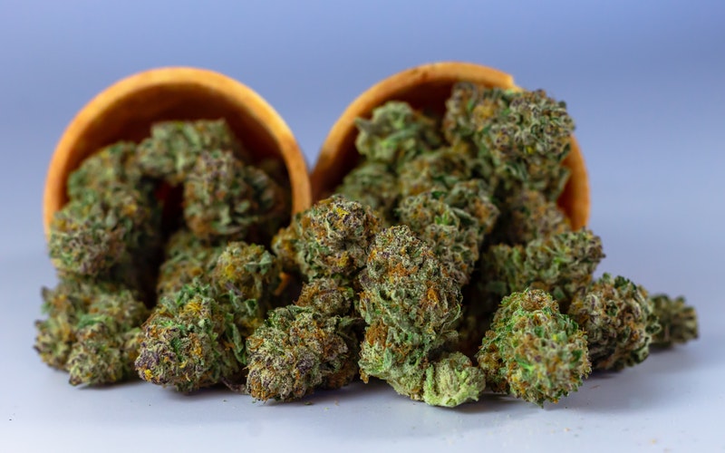Cannabis Strain