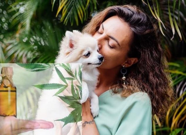 CBD for Pets