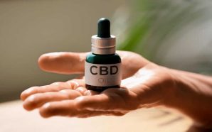 CBD Oil