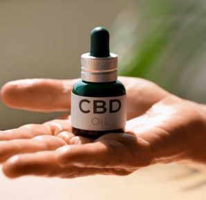 CBD Oil