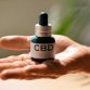 CBD Oil